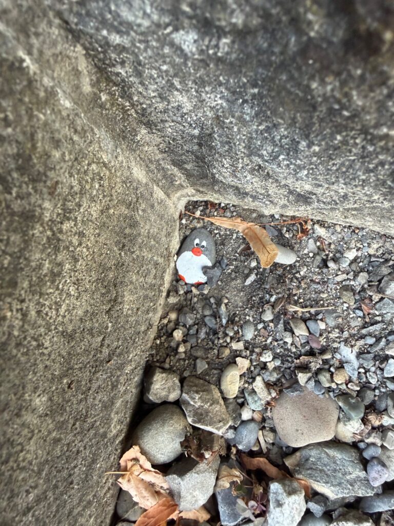 Hand-painted penguin stone #2323 hidden at Klosterhalbinsel, Wettingen, Switzerland (photo 3 of 4)