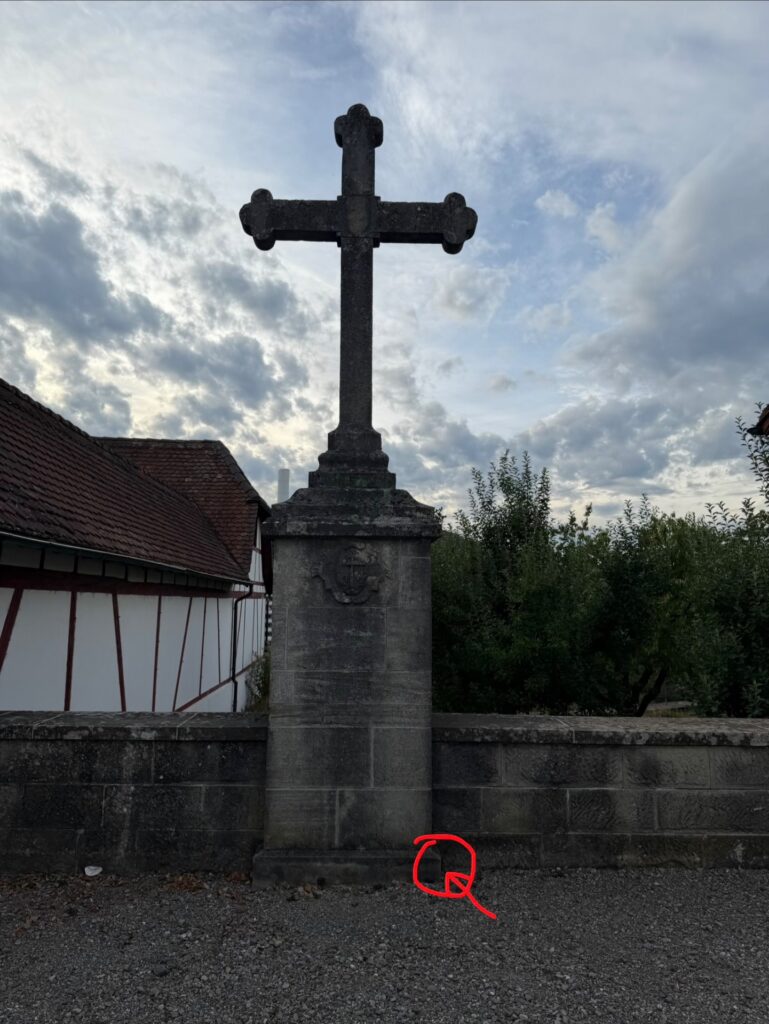 Hand-painted penguin stone #2323 hidden at Klosterhalbinsel, Wettingen, Switzerland (photo 4 of 4)