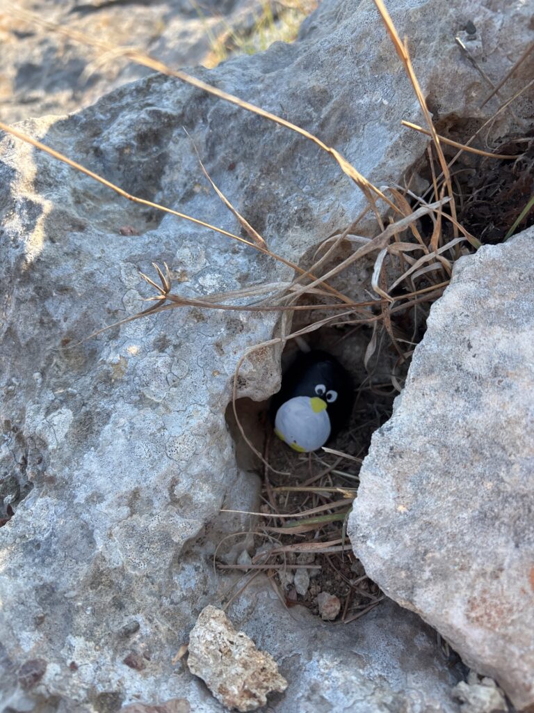 Hand-painted penguin stone #92 hidden at Acropolis of Rhodes, Rhodes, Greece