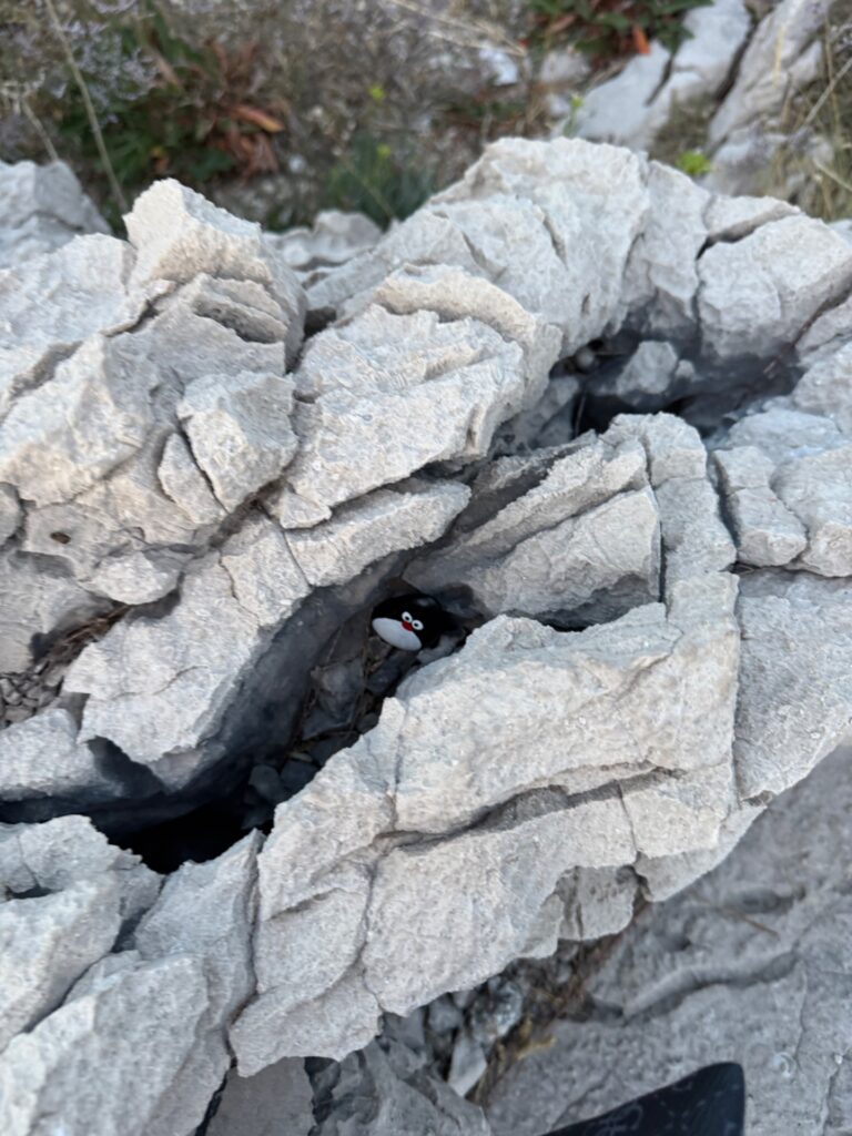 Hand-painted penguin stone #986 hidden at Rocks, Makarska, Croatia (photo 5 of 5)