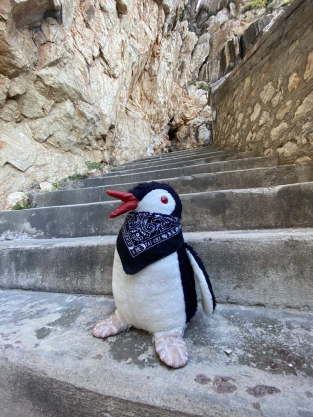 Hand-painted penguin stone #1 hidden at Neptune's Cave, Sardinia, Italy (photo 4 of 5)