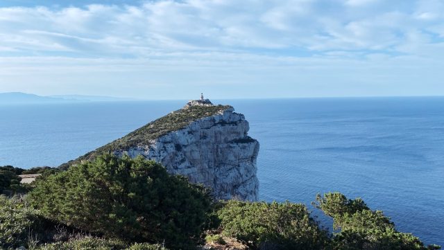 Ručne maľovaný tučniakový kameň č. 1 ukrytý na mieste Neptune's Cave, Sardinia, Taliansko