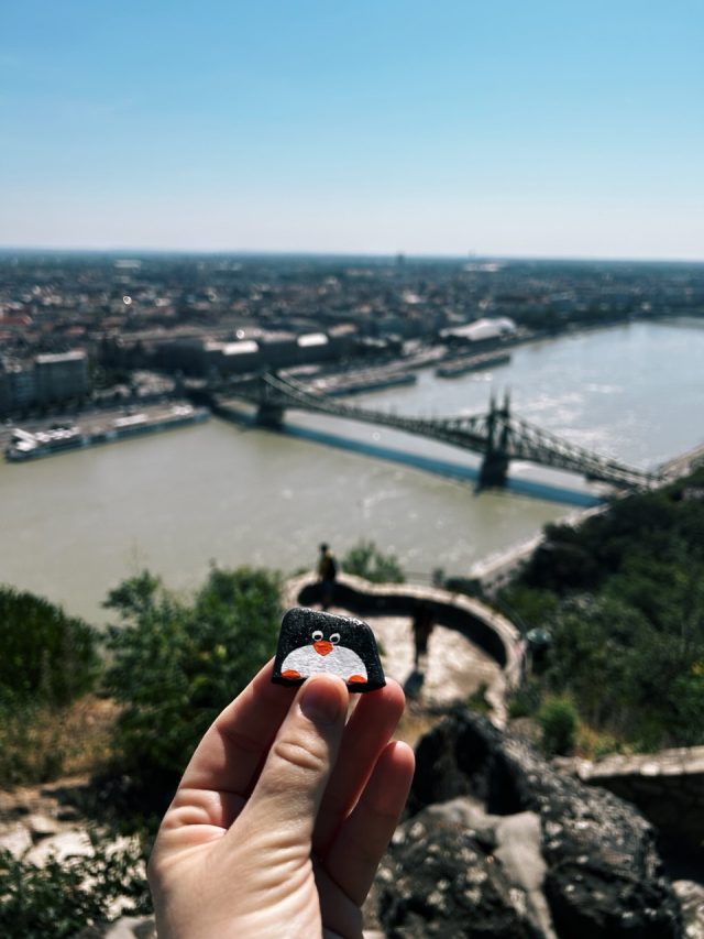 Hand-painted penguin stone #10 hidden at Gellert Hill, Budapest, Hungary (photo 2 of 5)