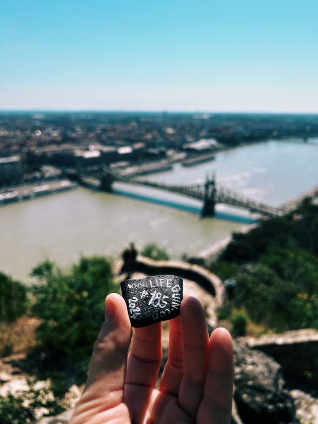 Hand-painted penguin stone #10 hidden at Gellert Hill, Budapest, Hungary (photo 3 of 5)