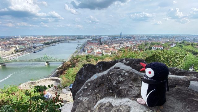 Hand-painted penguin stone #10 hidden at Gellert Hill, Budapest, Hungary (photo 5 of 5)