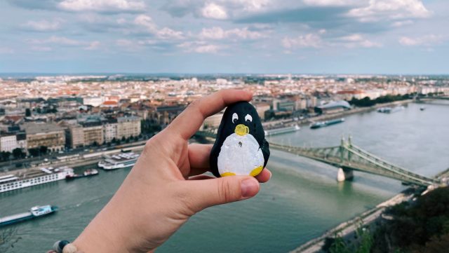Hand-painted penguin stone #10 hidden at Gellert Hill, Budapest, Hungary