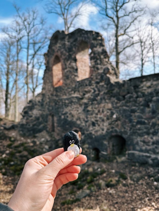 Hand-painted penguin stone #107 hidden at Krimulda Castle, Sigulda, Latvia (photo 2 of 5)