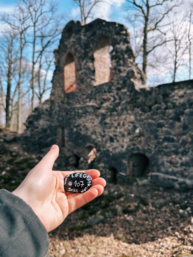 Hand-painted penguin stone #107 hidden at Krimulda Castle, Sigulda, Latvia (photo 3 of 5)