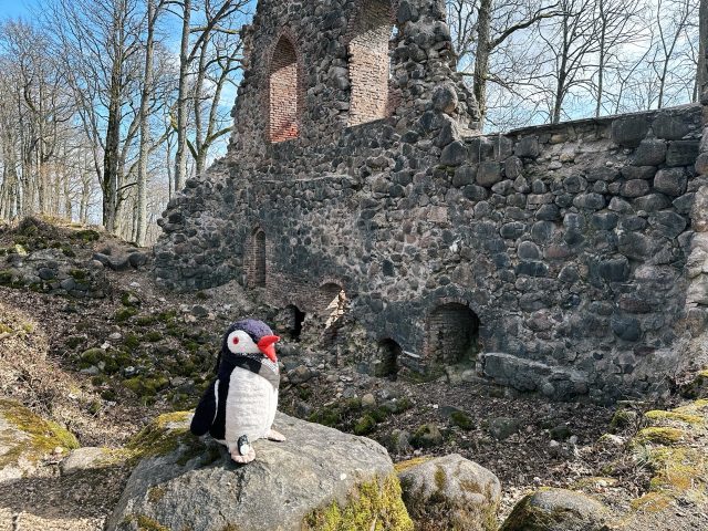 Hand-painted penguin stone #107 hidden at Krimulda Castle, Sigulda, Latvia (photo 4 of 5)
