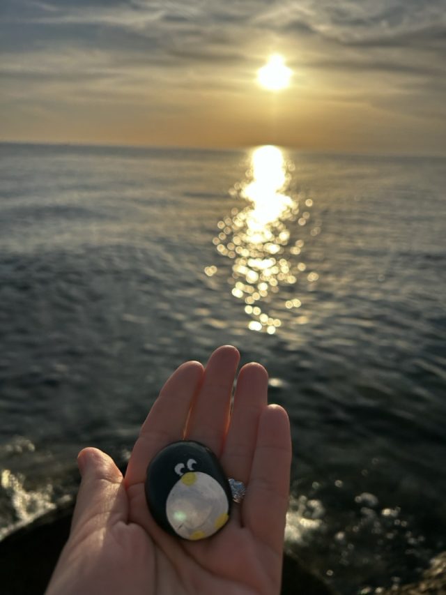 Hand-painted penguin stone #108 hidden at Parking Spot, Piran, Slovenia (photo 2 of 5)