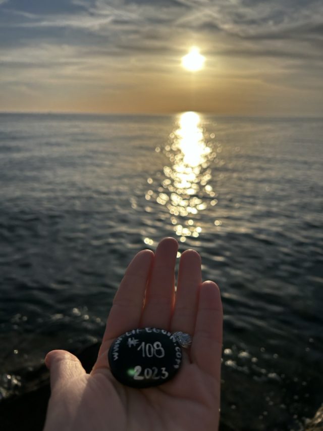 Hand-painted penguin stone #108 hidden at Parking Spot, Piran, Slovenia (photo 3 of 5)