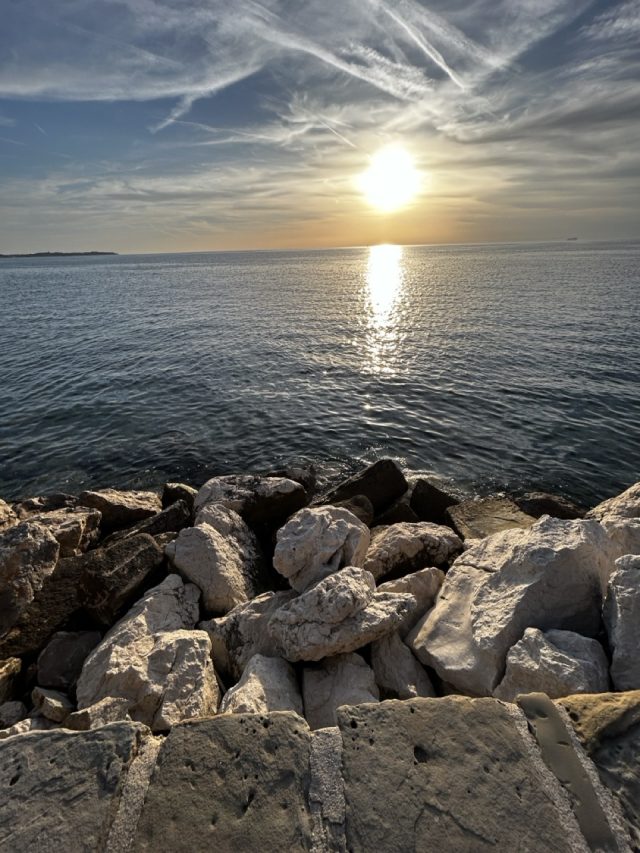 Hand-painted penguin stone #108 hidden at Parking Spot, Piran, Slovenia (photo 5 of 5)