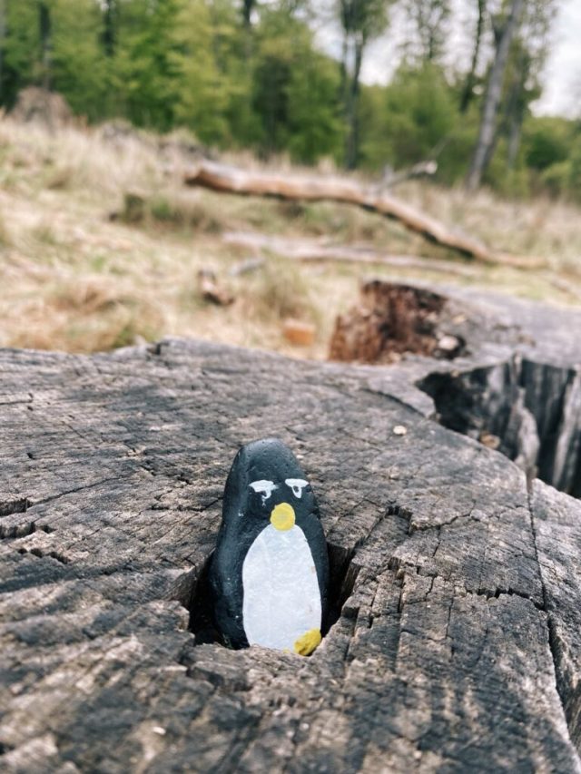 Hand-painted penguin stone #11 hidden at Vydrica, The Little Carpathians, Slovakia (photo 4 of 5)
