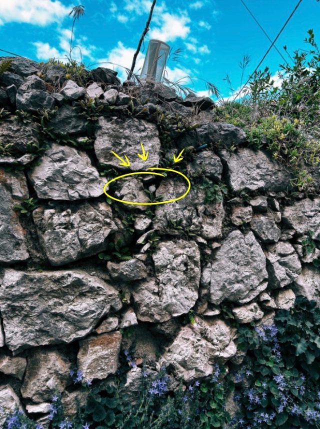 Hand-painted penguin stone #113 hidden at Stone Wall, Vrbnik, Croatia (photo 5 of 5)