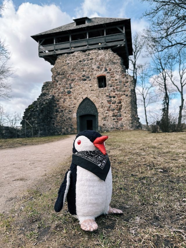 Hand-painted penguin stone #114 hidden at Castle Of The Livonian Order, Sigulda, Latvia (photo 3 of 5)