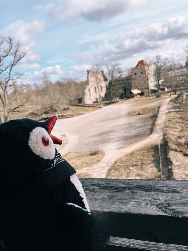 Hand-painted penguin stone #114 hidden at Castle Of The Livonian Order, Sigulda, Latvia (photo 4 of 5)