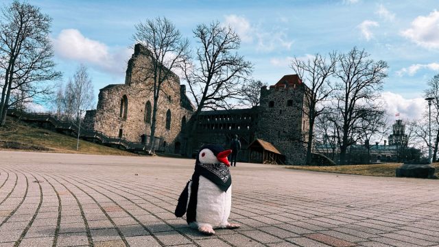 Hand-painted penguin stone #114 hidden at Castle Of The Livonian Order, Sigulda, Latvia