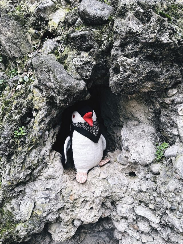 Hand-painted penguin stone #118 hidden at Parco Sempione, Milan, Italy (photo 3 of 5)