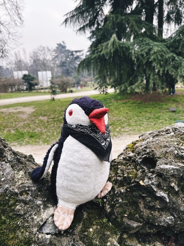 Hand-painted penguin stone #118 hidden at Parco Sempione, Milan, Italy (photo 4 of 5)