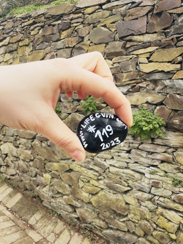 Hand-painted penguin stone #119 hidden at Pruhonice Chateau, Prague, Czechia (photo 3 of 5)