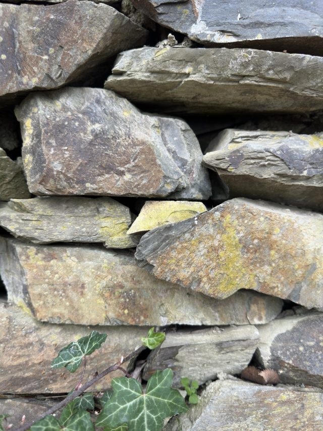 Hand-painted penguin stone #119 hidden at Pruhonice Chateau, Prague, Czechia (photo 4 of 5)