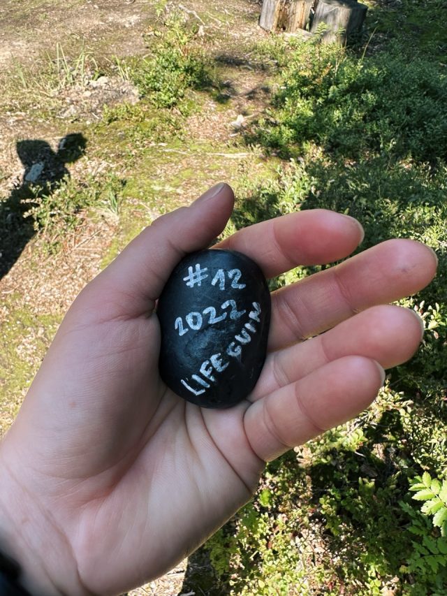 Hand-painted penguin stone #12 hidden at Bear Rock, Rakova, Slovakia (photo 4 of 5)
