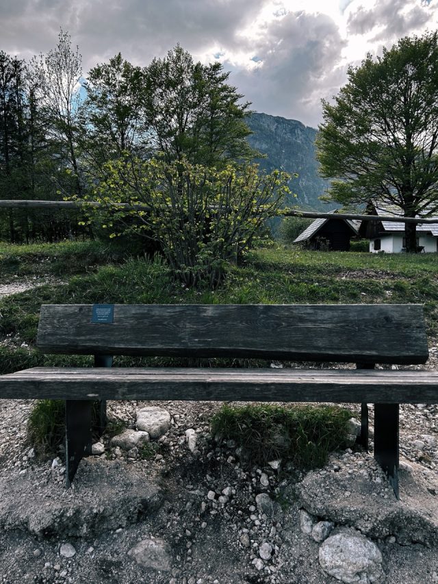 Hand-painted penguin stone #126 hidden at Bohinj Lake, Bohinj Valley, Slovenia (photo 4 of 5)