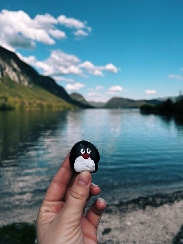 Hand-painted penguin stone #126 hidden at Bohinj Lake, Bohinj Valley, Slovenia (photo 5 of 5)
