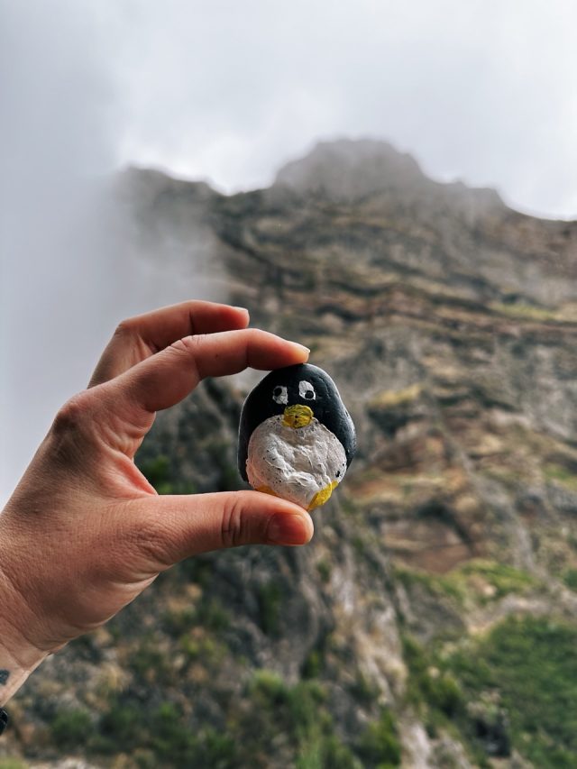 Hand-painted penguin stone #15 hidden at Vereda do Areeiro, Madeira, Portugal (photo 2 of 5)