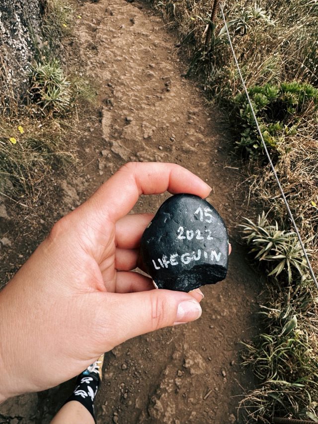 Hand-painted penguin stone #15 hidden at Vereda do Areeiro, Madeira, Portugal (photo 3 of 5)