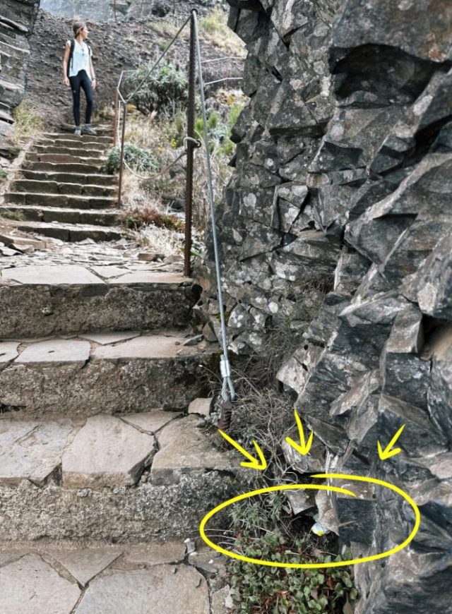 Hand-painted penguin stone #15 hidden at Vereda do Areeiro, Madeira, Portugal (photo 5 of 5)