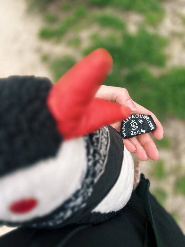 Hand-painted penguin stone #150 hidden at Weteringplantsoen, Amsterdam, Netherlands (photo 5 of 5)