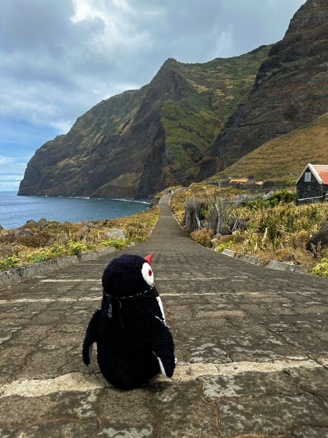 Hand-painted penguin stone #16 hidden at Faja da Quebrada Nova, Madeira, Portugal (photo 2 of 4)