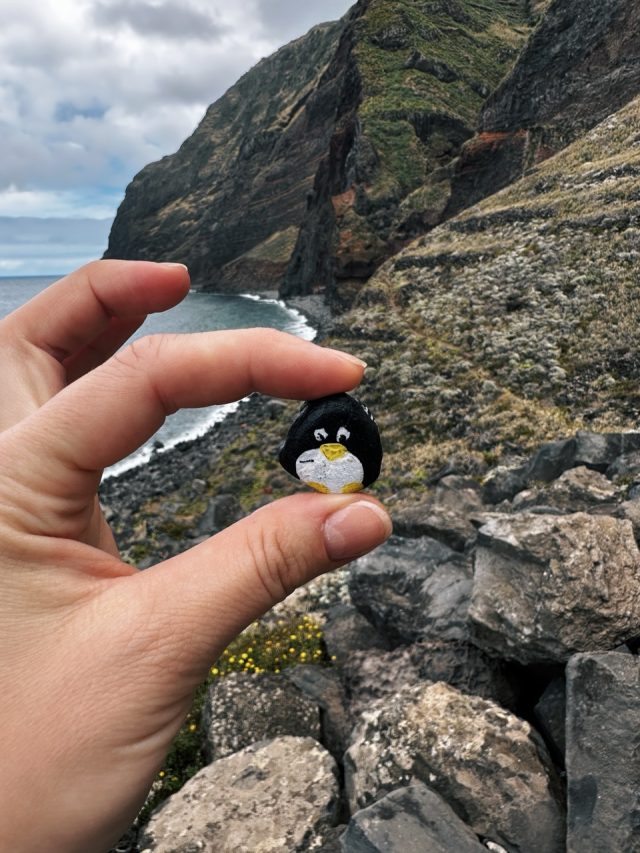 Hand-painted penguin stone #16 hidden at Faja da Quebrada Nova, Madeira, Portugal (photo 4 of 4)