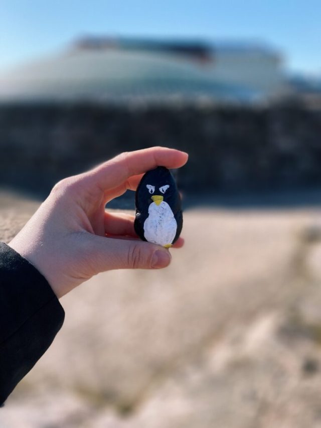 Hand-painted penguin stone #19 hidden at Temppeliaukion Church, Helsinki, Finland (photo 3 of 5)
