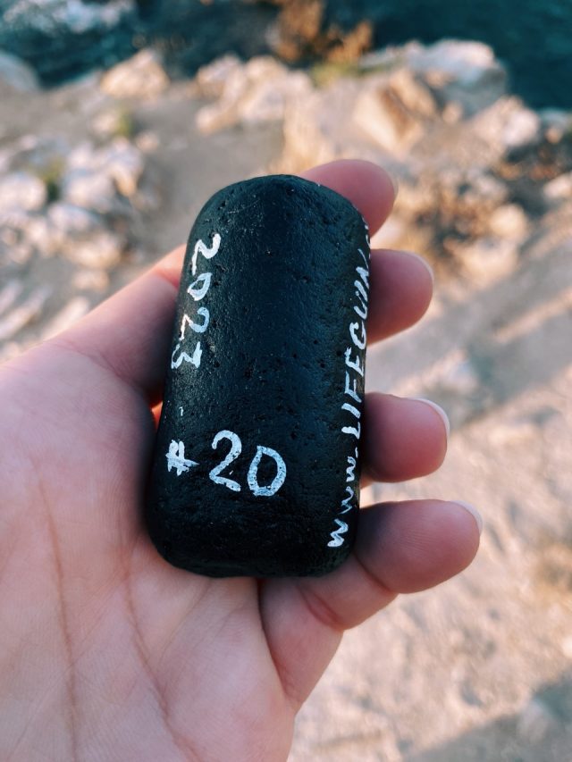 Hand-painted penguin stone #20 hidden at Palmanova, Mallorca, Spain (photo 2 of 5)