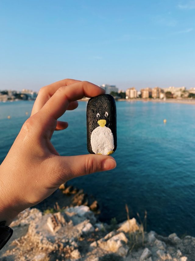 Hand-painted penguin stone #20 hidden at Palmanova, Mallorca, Spain (photo 4 of 5)