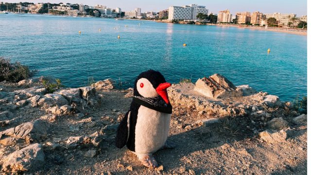 Ručne maľovaný tučniakový kameň č. 20 ukrytý na mieste Palmanova, Mallorca, Španielsko