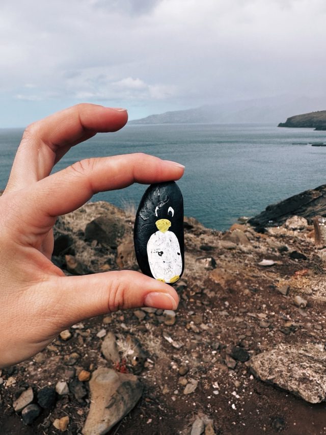 Hand-painted penguin stone #21 hidden at Ponta de Sao Lourenco (PR8), Madeira, Portugal (photo 5 of 5)