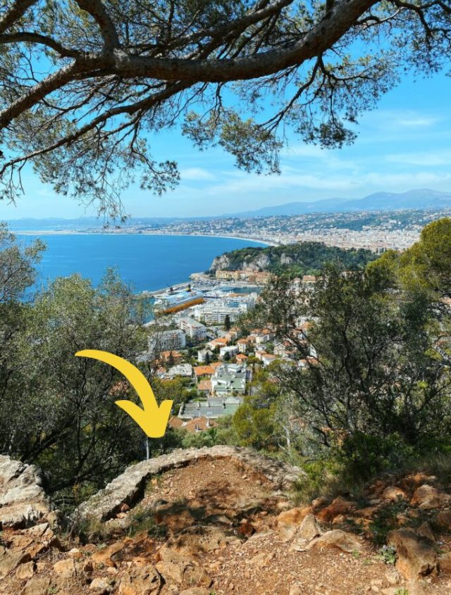 Hand-painted penguin stone #22 hidden at Mont Boron, Nice, France (photo 2 of 4)