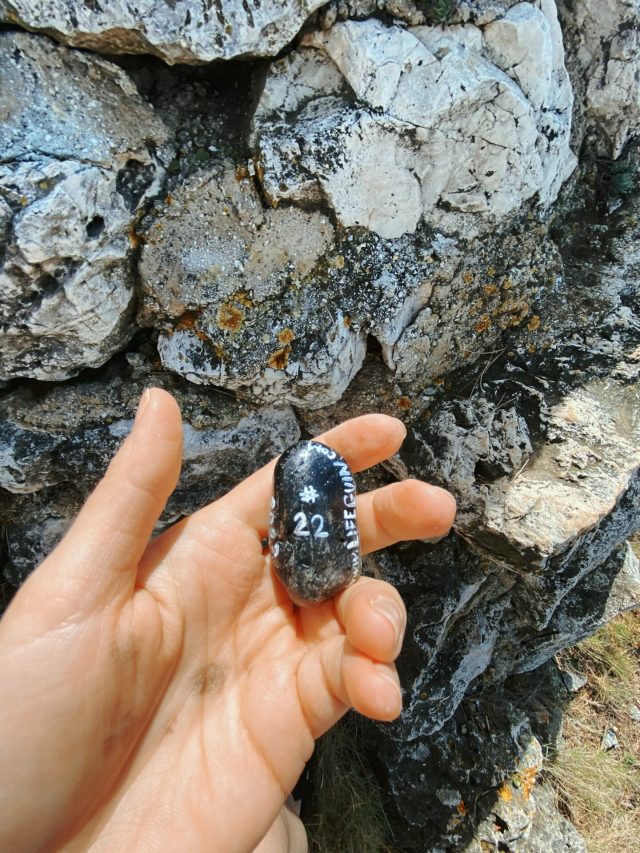 Hand-painted penguin stone #22 hidden at Mont Boron, Nice, France (photo 3 of 4)