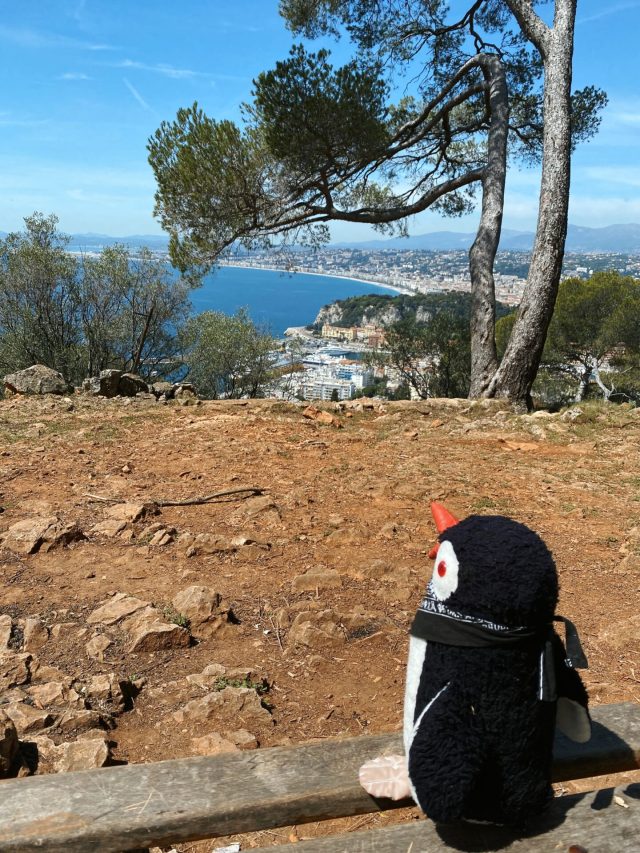 Hand-painted penguin stone #22 hidden at Mont Boron, Nice, France (photo 4 of 4)