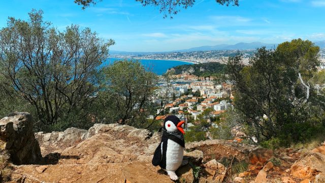 Hand-painted penguin stone #22 hidden at Mont Boron, Nice, France
