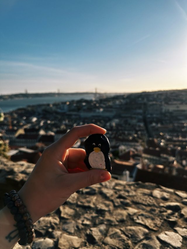 Hand-painted penguin stone #23 hidden at Castelo de Sao Jorge, Lisbon, Portugal (photo 2 of 5)