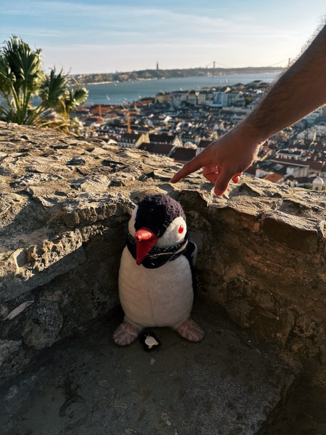 Hand-painted penguin stone #23 hidden at Castelo de Sao Jorge, Lisbon, Portugal (photo 3 of 5)