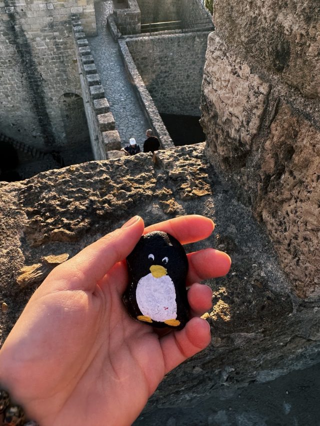 Hand-painted penguin stone #23 hidden at Castelo de Sao Jorge, Lisbon, Portugal (photo 5 of 5)