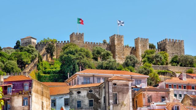 Hand-painted penguin stone #23 hidden at Castelo de Sao Jorge, Lisbon, Portugal