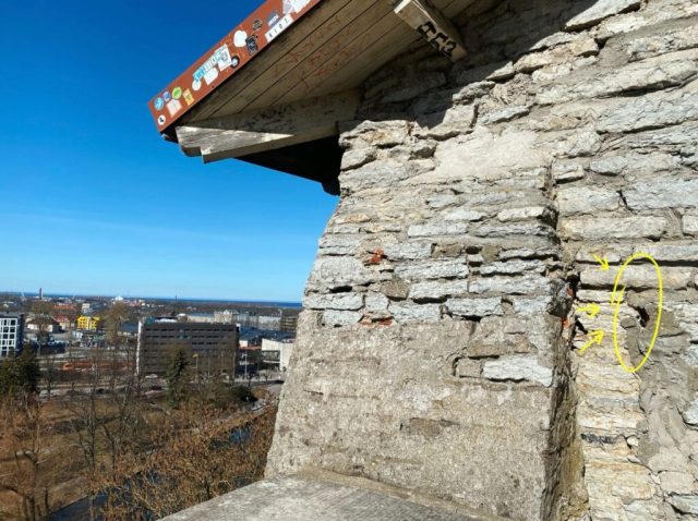 Hand-painted penguin stone #24 hidden at Piiskopi Observation Platform, Tallinn, Estonia (photo 5 of 5)