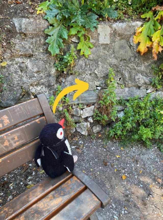 Hand-painted penguin stone #25 hidden at Castle Hill, Nice, France (photo 4 of 5)