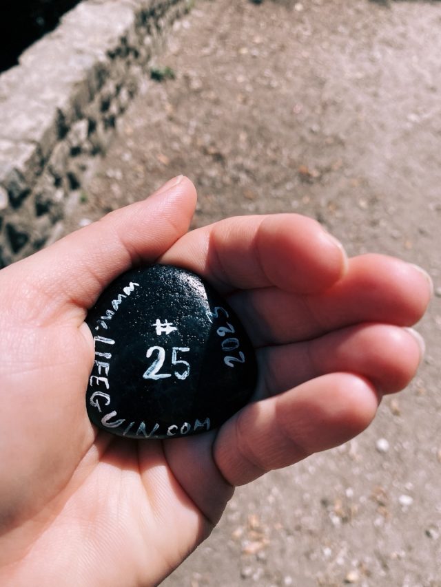 Hand-painted penguin stone #25 hidden at Castle Hill, Nice, France (photo 5 of 5)